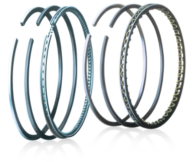 Picture for category Piston Rings